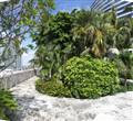 Miami Tower