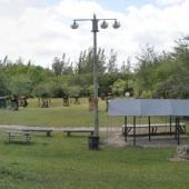 Everglades Archers