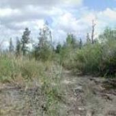 Tallahassee Road