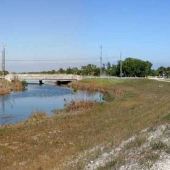 Levee L31E