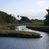 L-31 Levee
