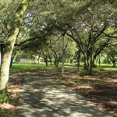 Rolling Oaks Park