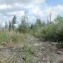 Tallahassee Road