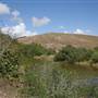 South Dade Wetlands