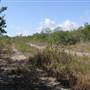 South Dade Wetlands