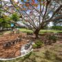 Sabal Chase Park