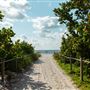 Bill Baggs State Park