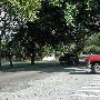 Old Cutler Road