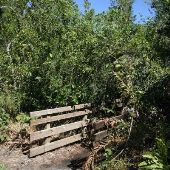 Greynolds - Oleta River Nature Trail