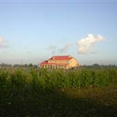 General Agriculture photos