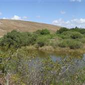 South Dade Wetlands