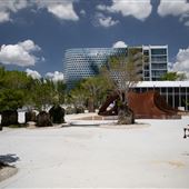 Jungle Plaza in the Design District
