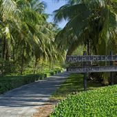 Arch Creek East Preserve