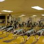 DSP Gym