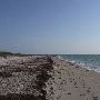 Bill Baggs State Park