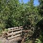 Greynolds - Oleta River Nature Trail