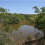 South Dade Wetlands