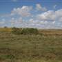 South Dade Wetlands