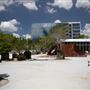 Jungle Plaza in the Design District