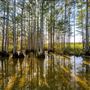 Big Cypress National Preserve