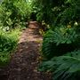 Patch of Heaven