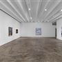 Fredric Snitzer Gallery