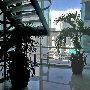 Miami Tower