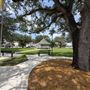 Circle Park
