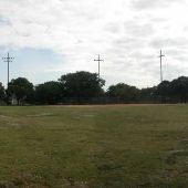 Williams Park