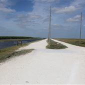 Francis S. Taylor Wildlife Management Area