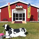 Phil’s Berry Farm