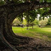 Schenley Park