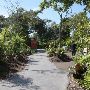 Miami-Dade Zoological Park and Gardens