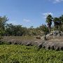 Miami-Dade Zoological Park and Gardens
