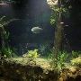 Miami-Dade Zoological Park and Gardens
