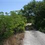 South Dade Wetlands