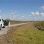 South Dade Wetlands