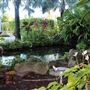 Hialeah Gardens Botanical Garden
