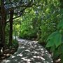 Jungle Island