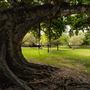 Schenley Park