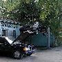 German Auto Trends
