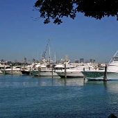 Miami Beach Marina