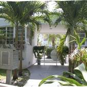 Flamingo Area