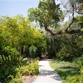 Miami Beach Botanical Garden