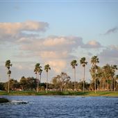 Tropical Park