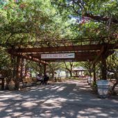 Bill Graham Farm Village