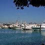 Miami Beach Marina