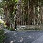 Kampong