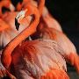 Miami-Dade Zoological Park and Gardens