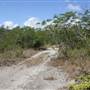 South Dade Wetlands